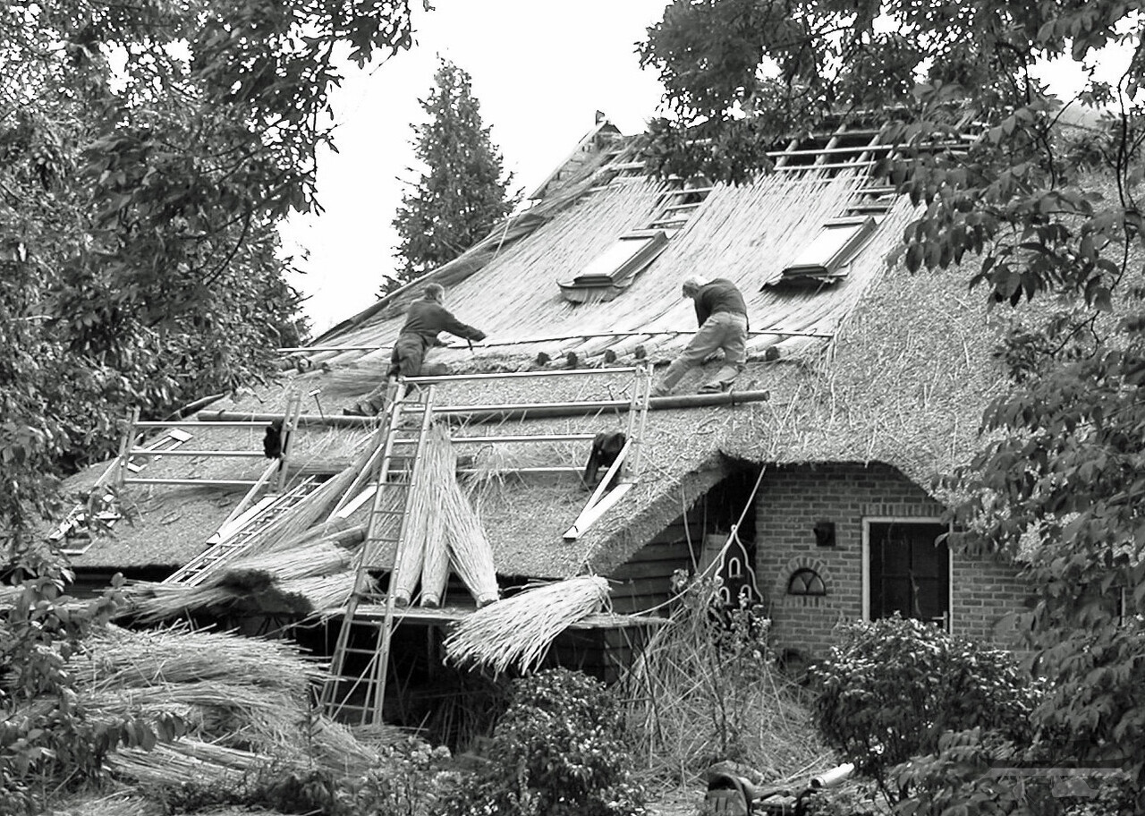 Two people build a thatch-roofed home. 
